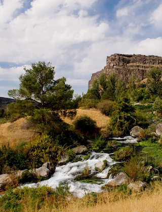 Landscape photo of hillside with trees and a running stream.